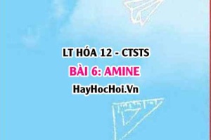 Amine là gì? Phân loại Amine, Công thức cấu tạo, tính chất vật lí, hóa học, ứng dụng, điều chế Amine? Hóa 12 bài 6 CTST